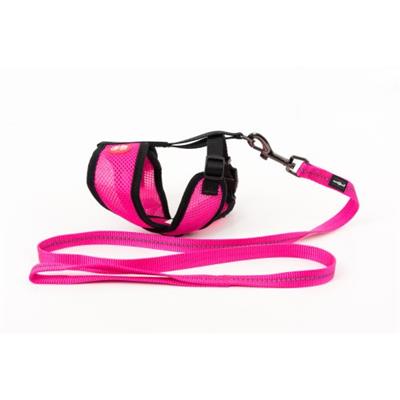 pink cat harness