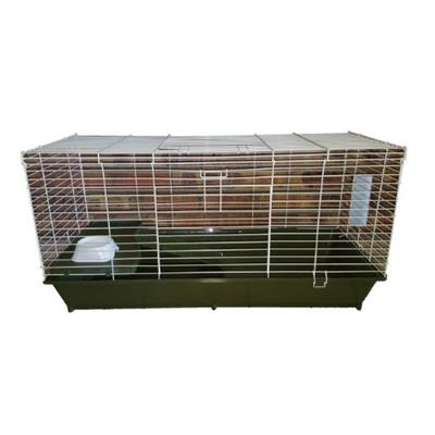 Pet rabbit best sale starter kit